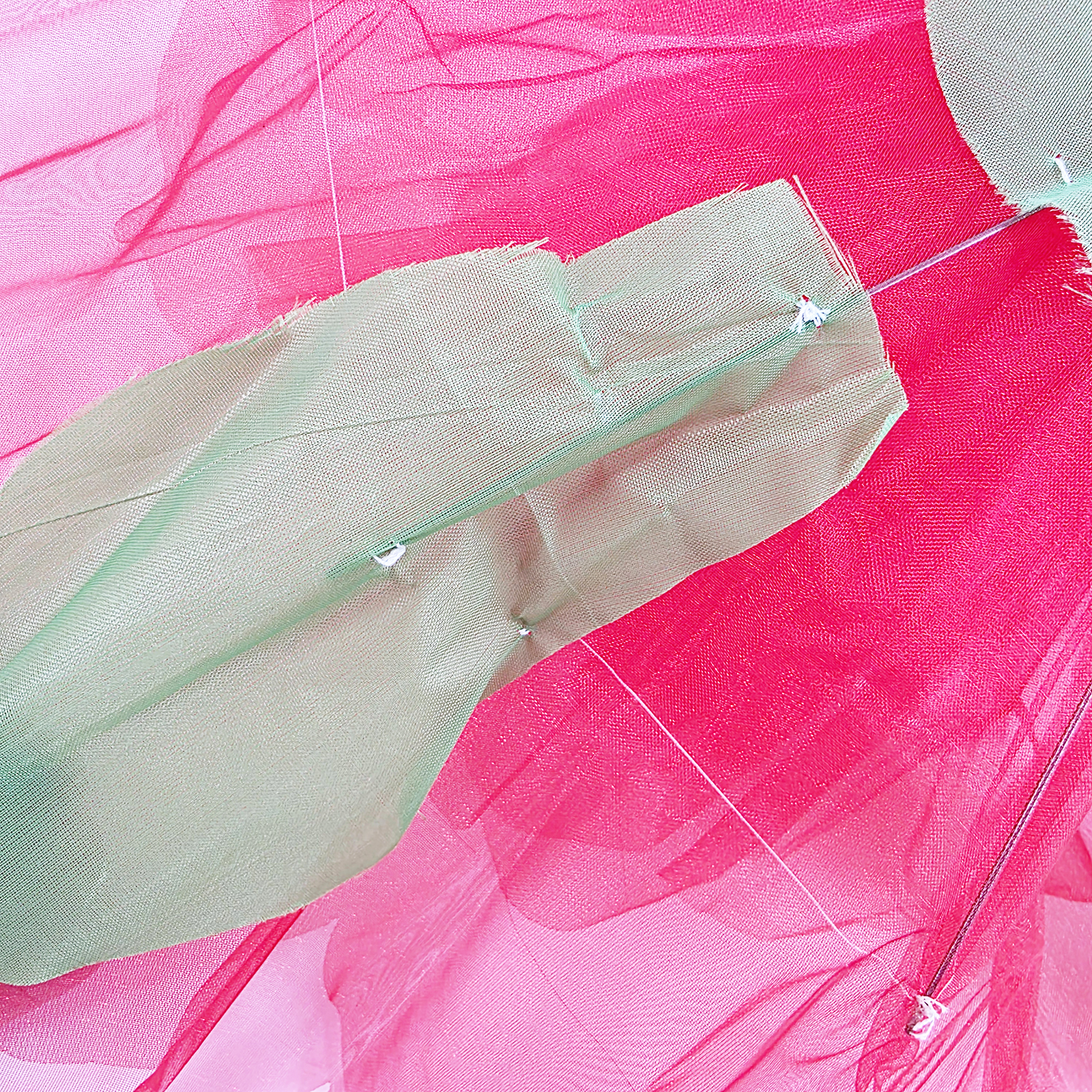 闪现牡丹花(中)